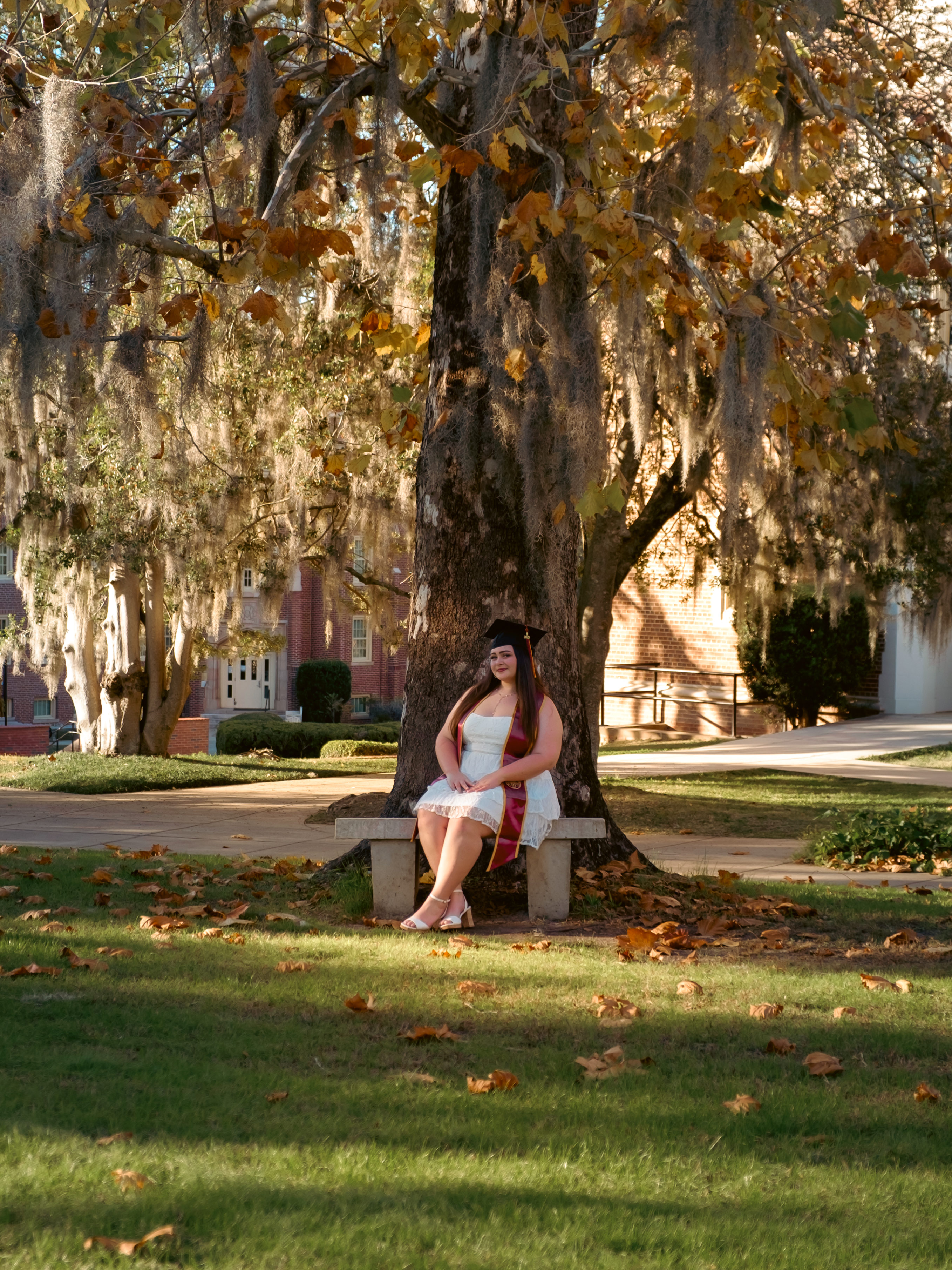 Bench under tree